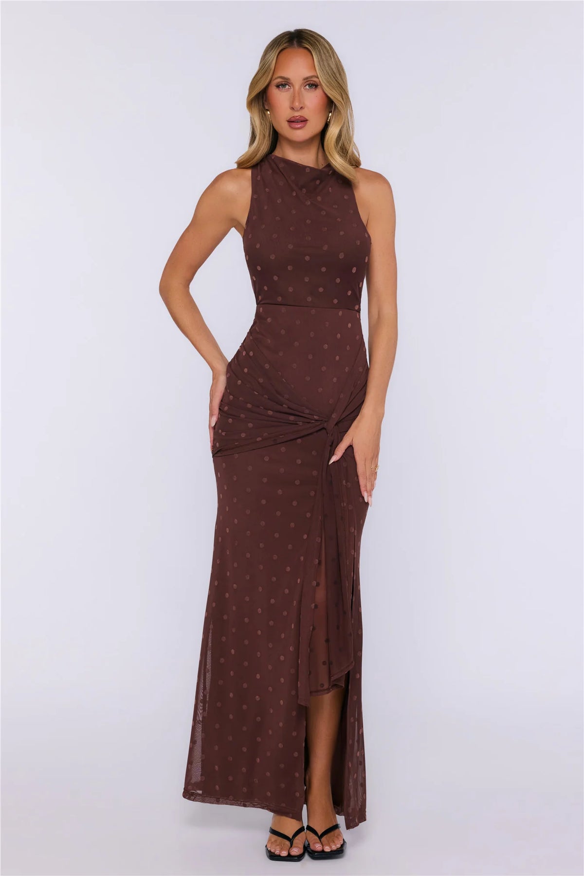 Style Found Mesh Polka Dot Maxi Dress Brown